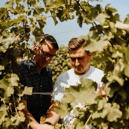 Kultur Weingut Kaestenburg Ratsch an der Weinstraße