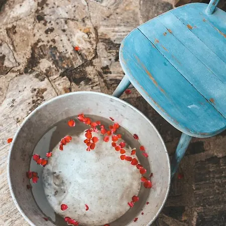 Venkovský dům Kultur Weingut Kaestenburg