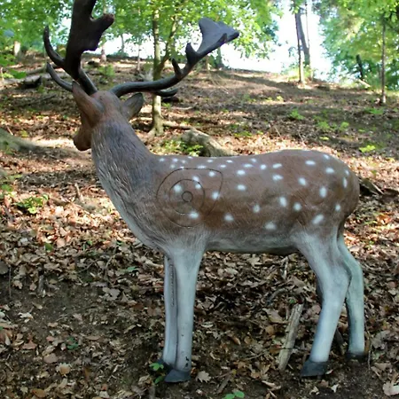Kultur Weingut Kaestenburg