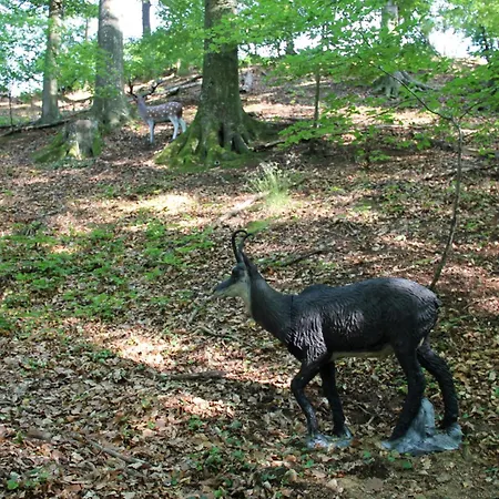 Kultur Weingut Kaestenburg Ratsch an der Weinstraße