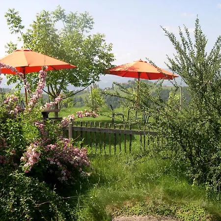 Kultur Weingut Kaestenburg Ratsch an der Weinstraße