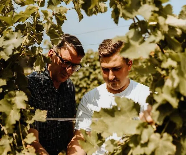 Kultur Weingut Kästenburg Ratsch an der Weinstraße