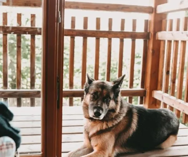 Kultur Weingut Kästenburg Landhaus Ratsch an der Weinstraße