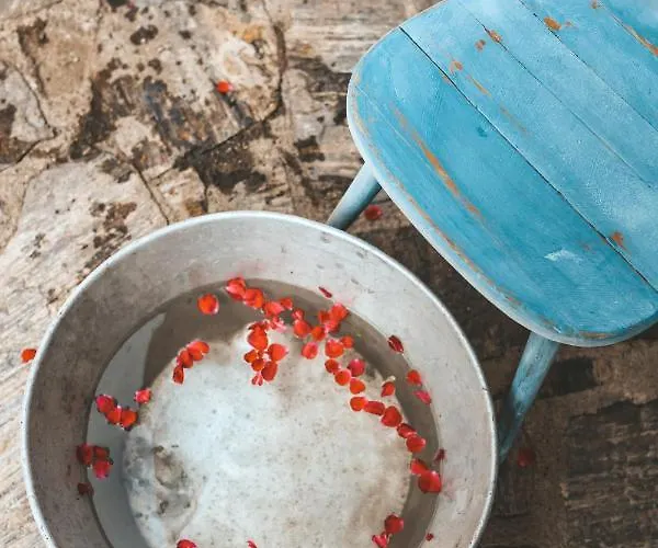 منزل ريفي Kultur Weingut Kaestenburg