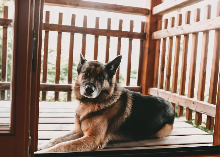 منزل ريفي Kultur Weingut Kaestenburg