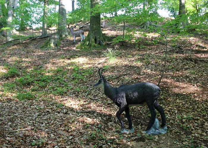 Kultur Weingut Kaestenburg Ratsch an der Weinstraße