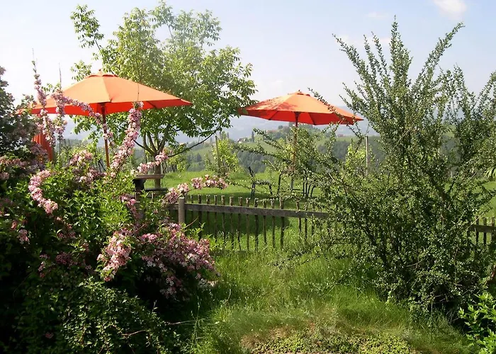 Kultur Weingut Kaestenburg Ratsch an der Weinstraße